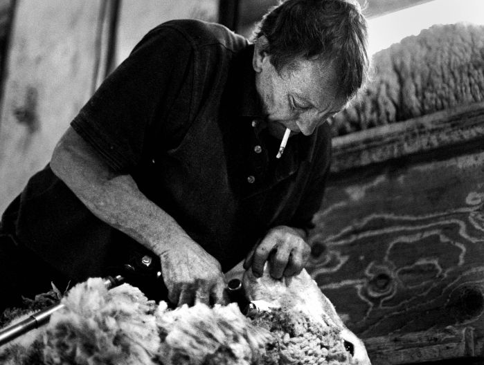 Shearing